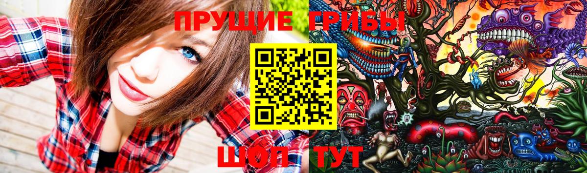Псилоцибиновые грибы Psilocybe  Вход с VPN  купить наркотики сайты  Черняховск 